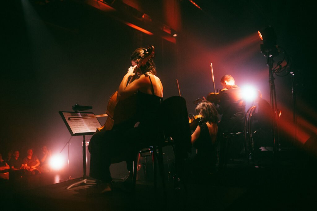 Photographe de Concerts en Suisse - Anne Gerzat Photographe